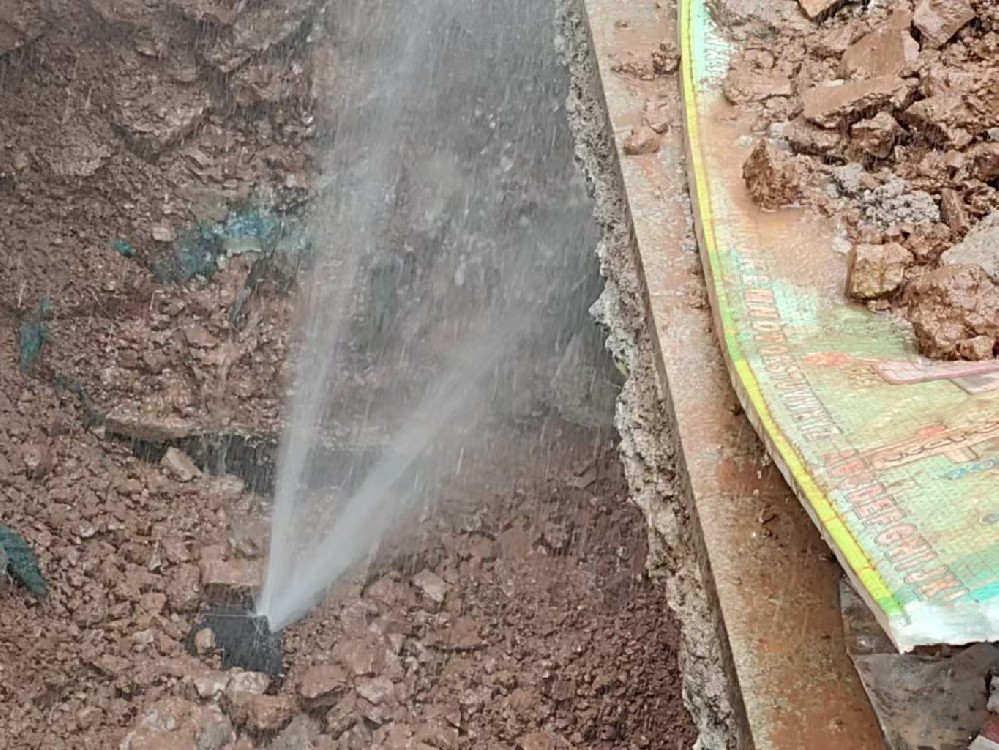 南阳市城乡一体化示范区消防水管漏水检测定点开挖